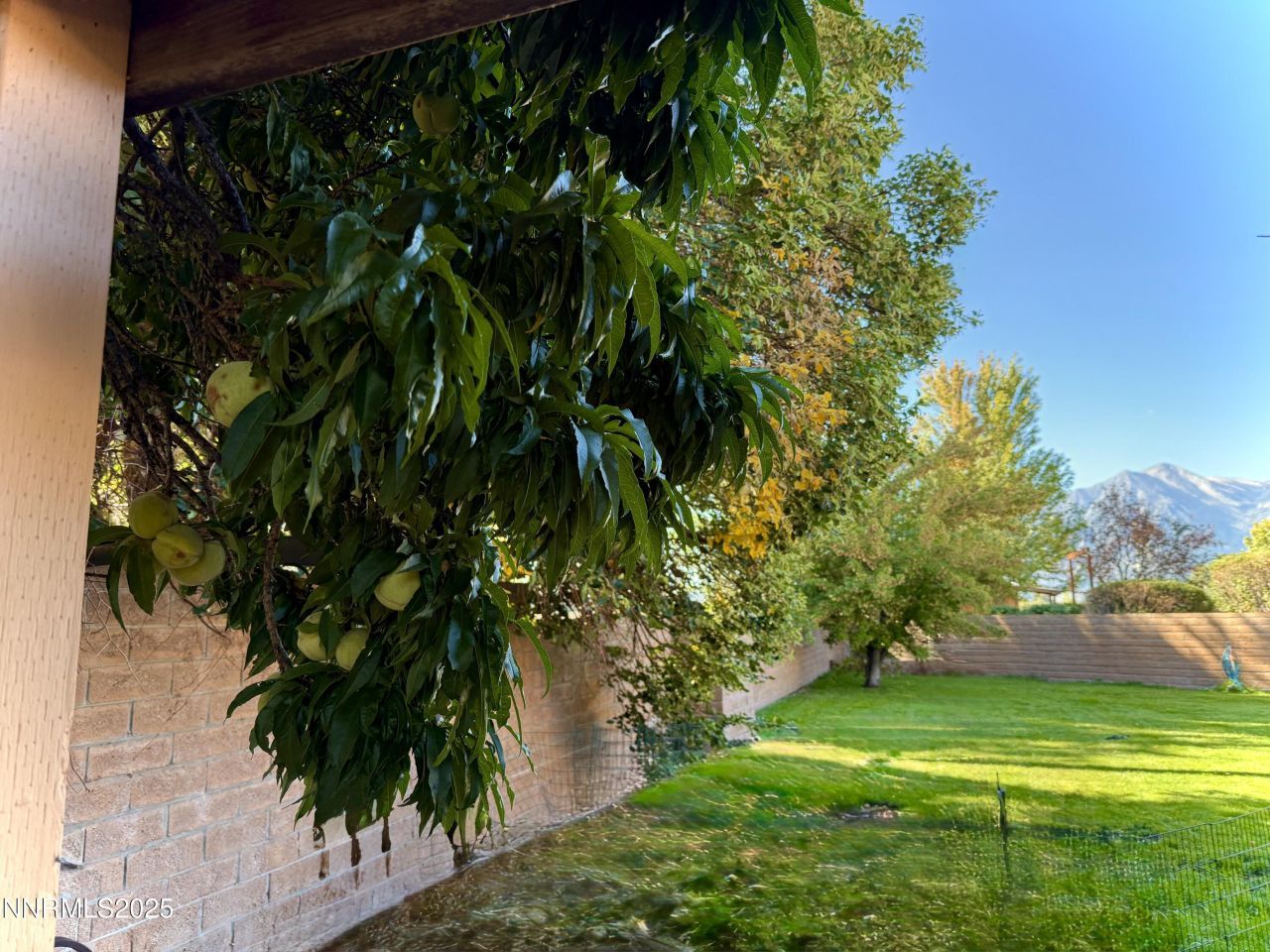 1616 Belarra Drive, Minden, NV 89423 Photo