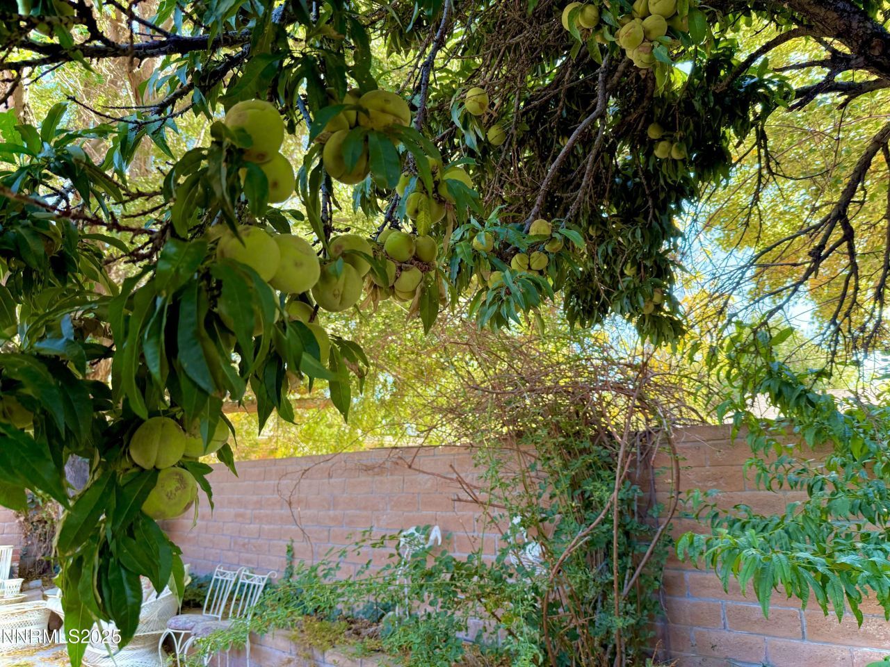 1616 Belarra Drive, Minden, NV 89423 Photo