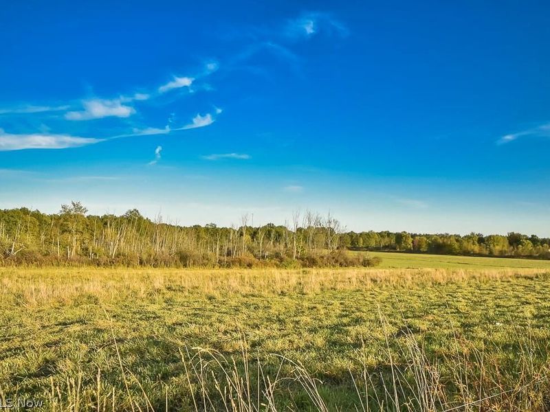 V/L Noble Road, Windsor, OH 44099 Photo 21