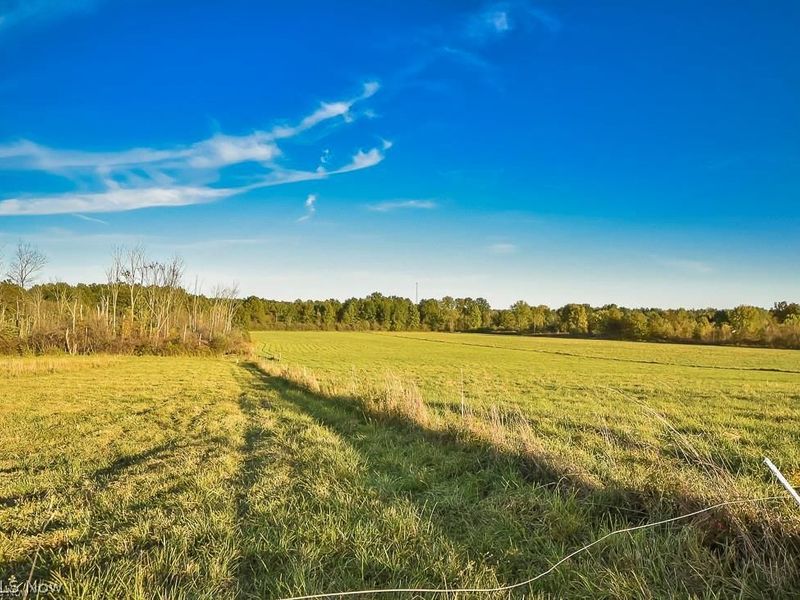 V/L Noble Road, Windsor, OH 44099 Photo 22