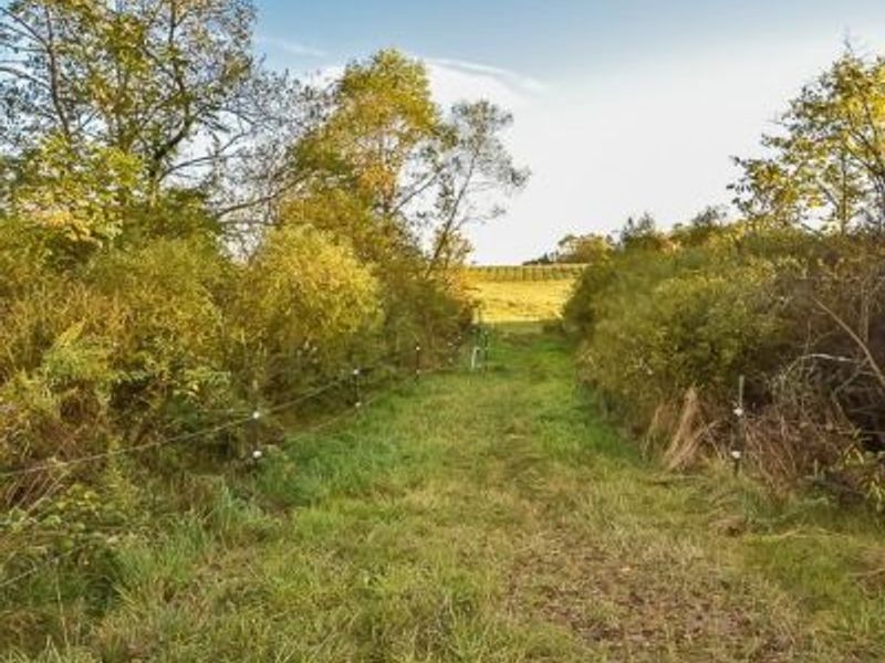 V/L Noble Road, Windsor, OH 44099 Photo 27