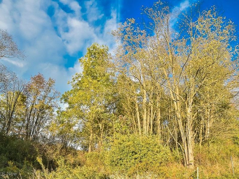 V/L Noble Road, Windsor, OH 44099 Photo 28