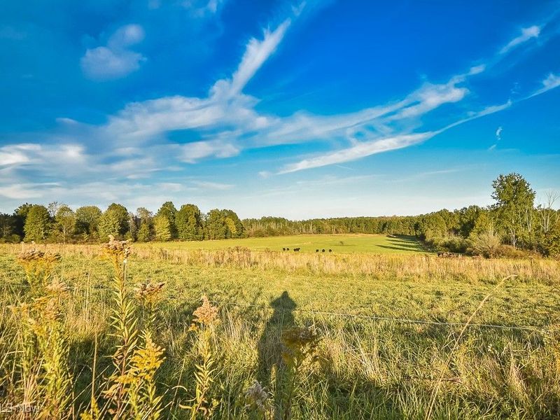 V/L Noble Road, Windsor, OH 44099 Photo 29