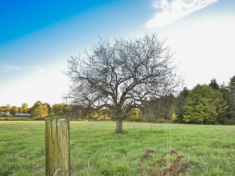 V/L Noble Road, Windsor, OH 44099 Photo 34