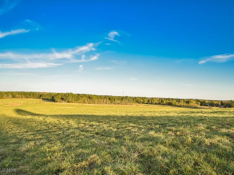 V/L Noble Road, Windsor, OH 44099 Photo 39