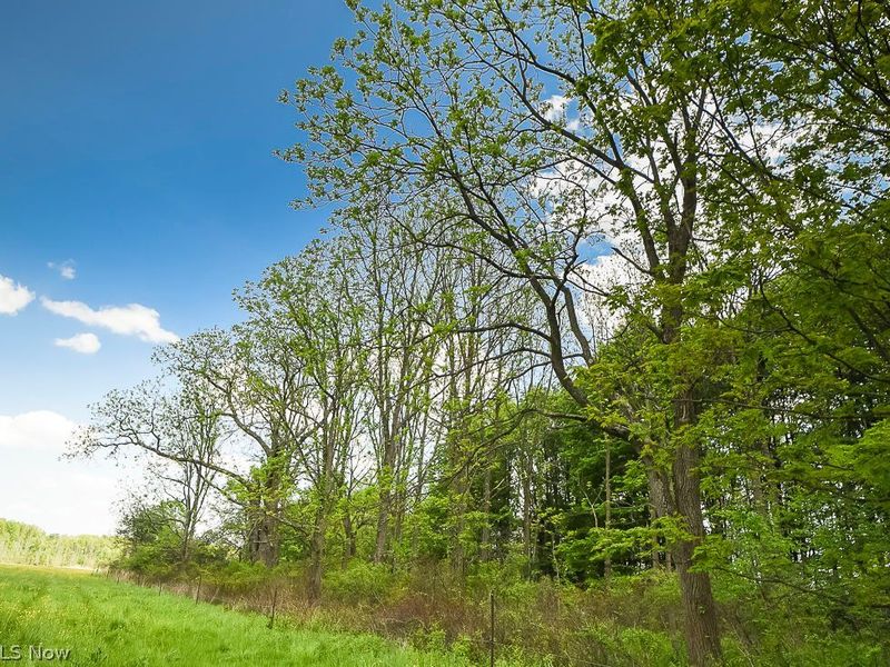 V/L Noble Road, Windsor, OH 44099 Photo 45