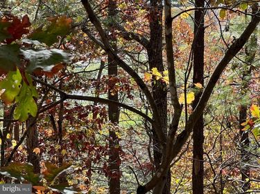 0 BRENDA LANE, BASYE, VA 22810