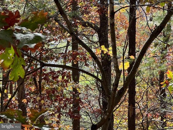 0 BRENDA LANE, BASYE, VA 22810