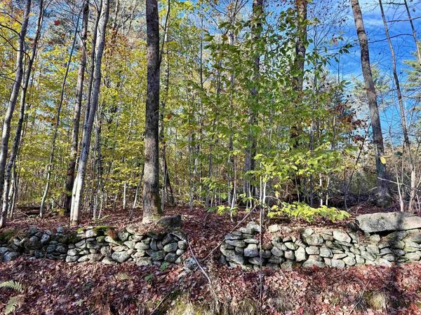 0 Townshend Dam Road, Wardsboro, VT 05355