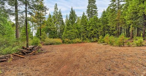 700 Lovers Leap Rd, Dutch Flat, CA 95714 Photo