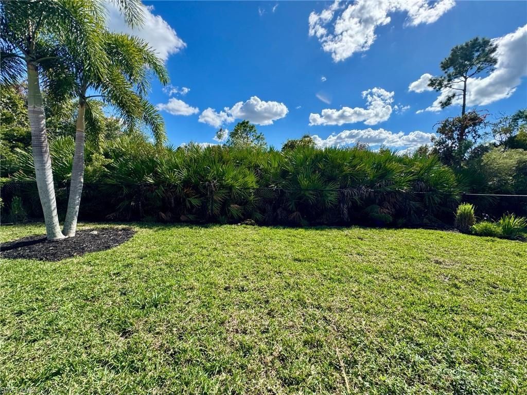 2536 Laurentina Ln, Cape Coral, FL 33909 Photo