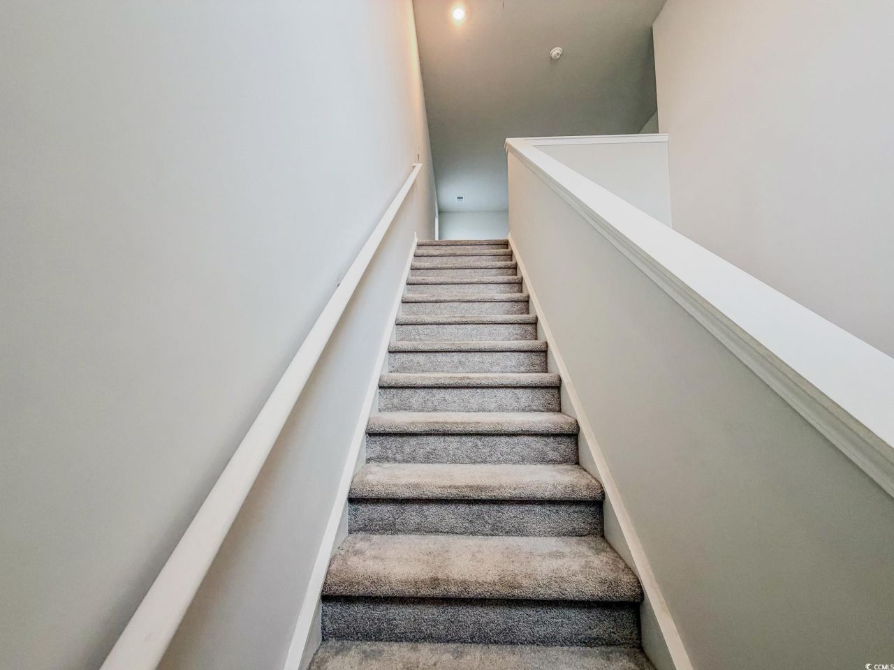 8191 Forest Edge Dr. Photo 18