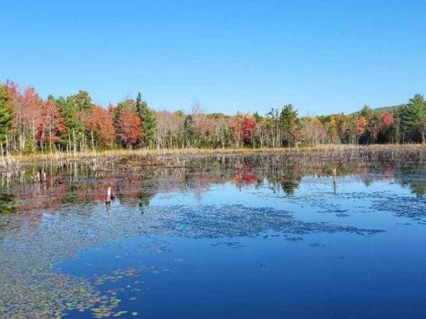 408 Oak Hill Road, Swanville, ME 04915