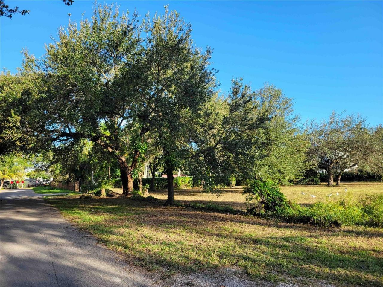 Tbd SW 93rd Street, Miami, FL 33176 Photo