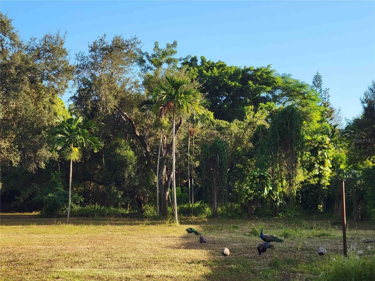 Tbd SW 93rd Street, Miami, FL 33176 Photo