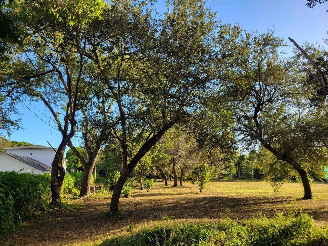 Tbd SW 93rd Street, Miami, FL 33176 Photo