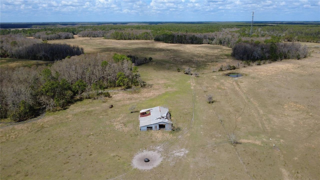 1092 S State Road 415 Road, New Smyrna Beach, FL 32168 Photo
