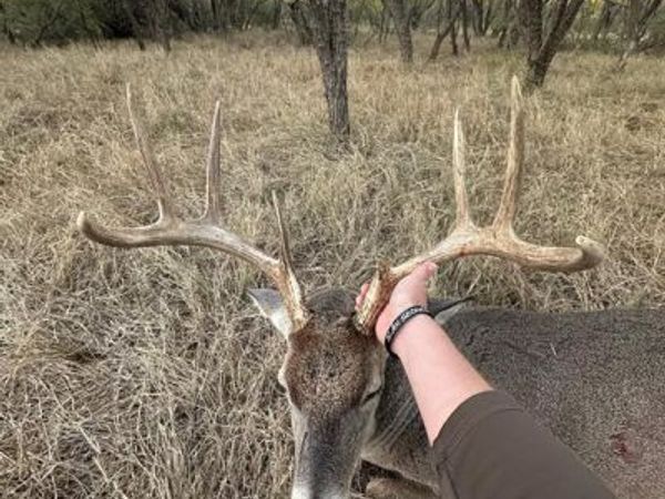 6525 US Highway 180 E, Anson, TX 79501