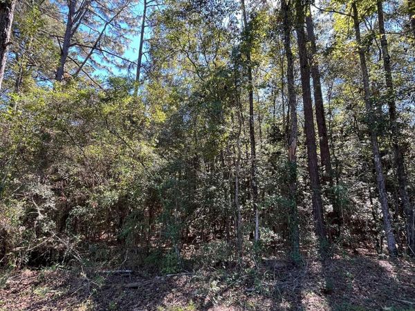 Hickory Drive, Richton, MS 39476