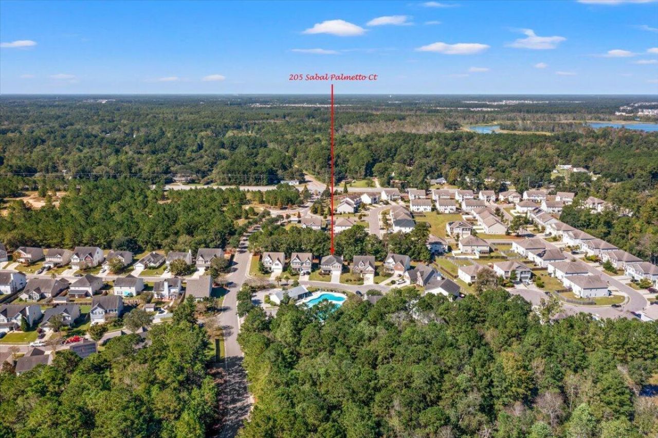 205 Sabal Palmetto Court Photo 74