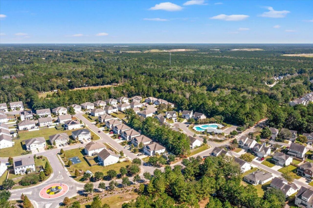 205 Sabal Palmetto Court Photo 79