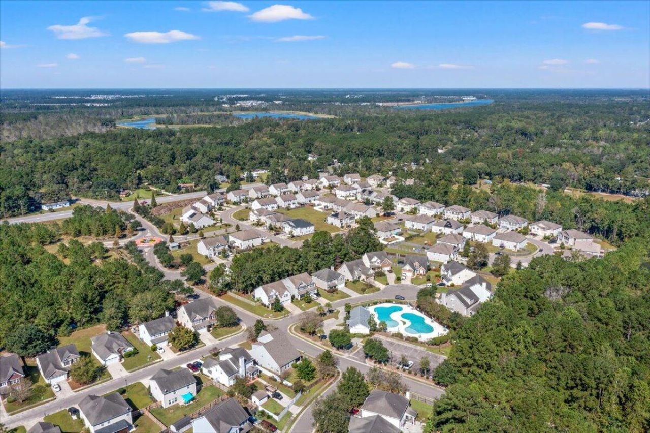 205 Sabal Palmetto Court Photo 81