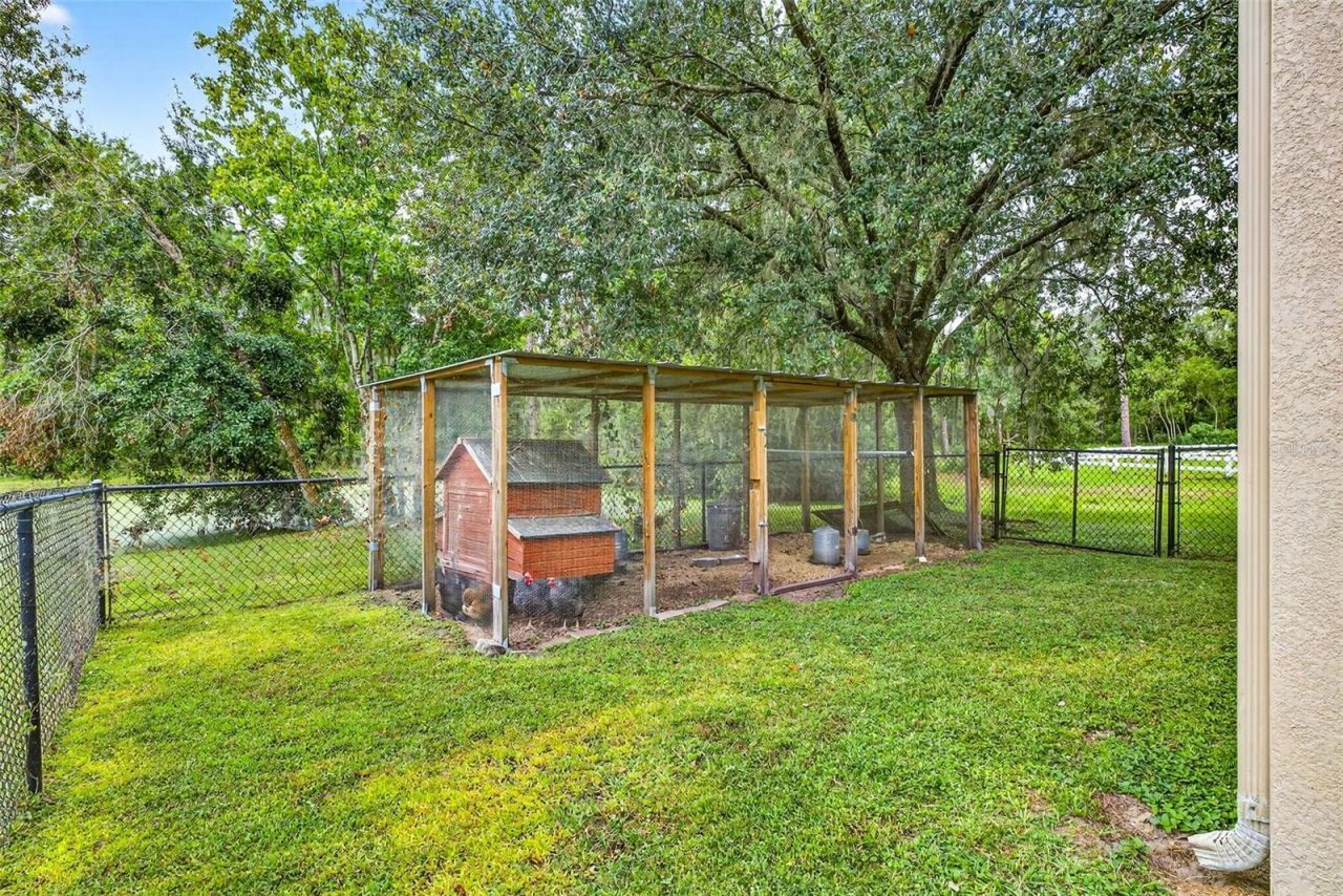 13887 Gavin Road, Dover, FL 33527 Photo