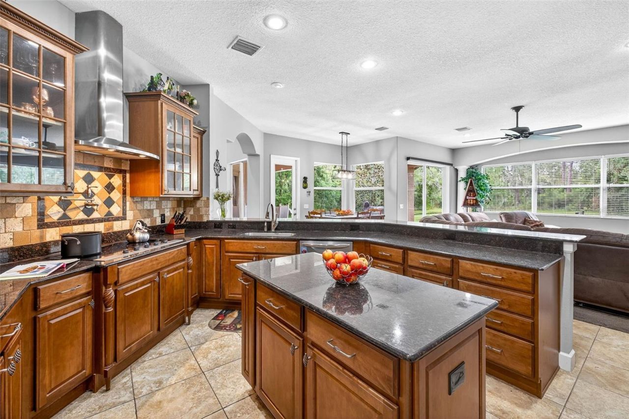 13887 Gavin Road, Dover, FL 33527 Photo