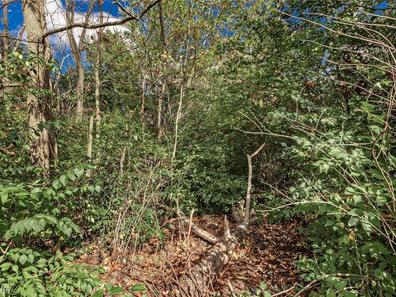 V/L Usher Road, Olmsted Township, OH 44138 Photo 2