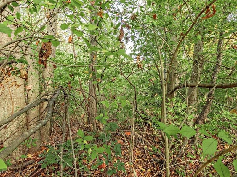 V/L Usher Road, Olmsted Township, OH 44138 Photo 3