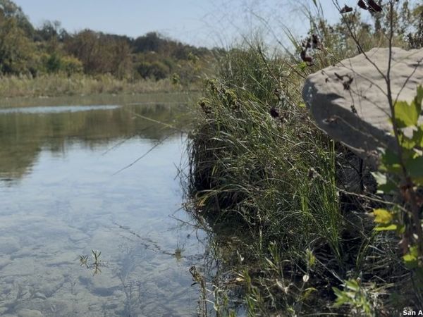 174 W 12 MILE CROSSING RD, Ingram, TX 78025