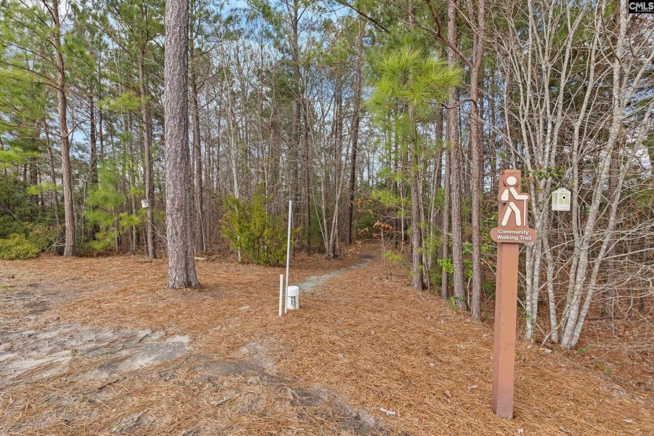 814 Dutchmaster Drive Photo 29