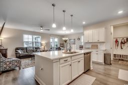 389 Cattle Drive Circle photo 4