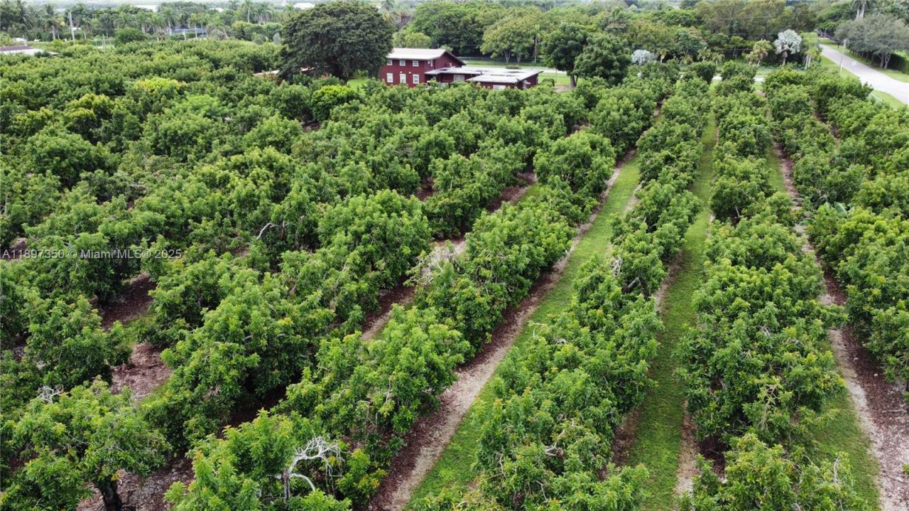 19365 SW 256th St, Homestead, FL 33031 Photo