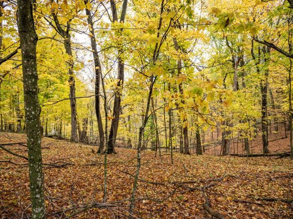 Lot 152 Pine Cone Lane, La Valle, WI 53941