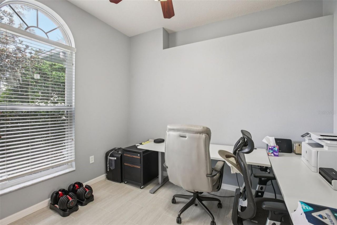 2903 Mossy Timber Trail, Valrico, FL 33596 Photo