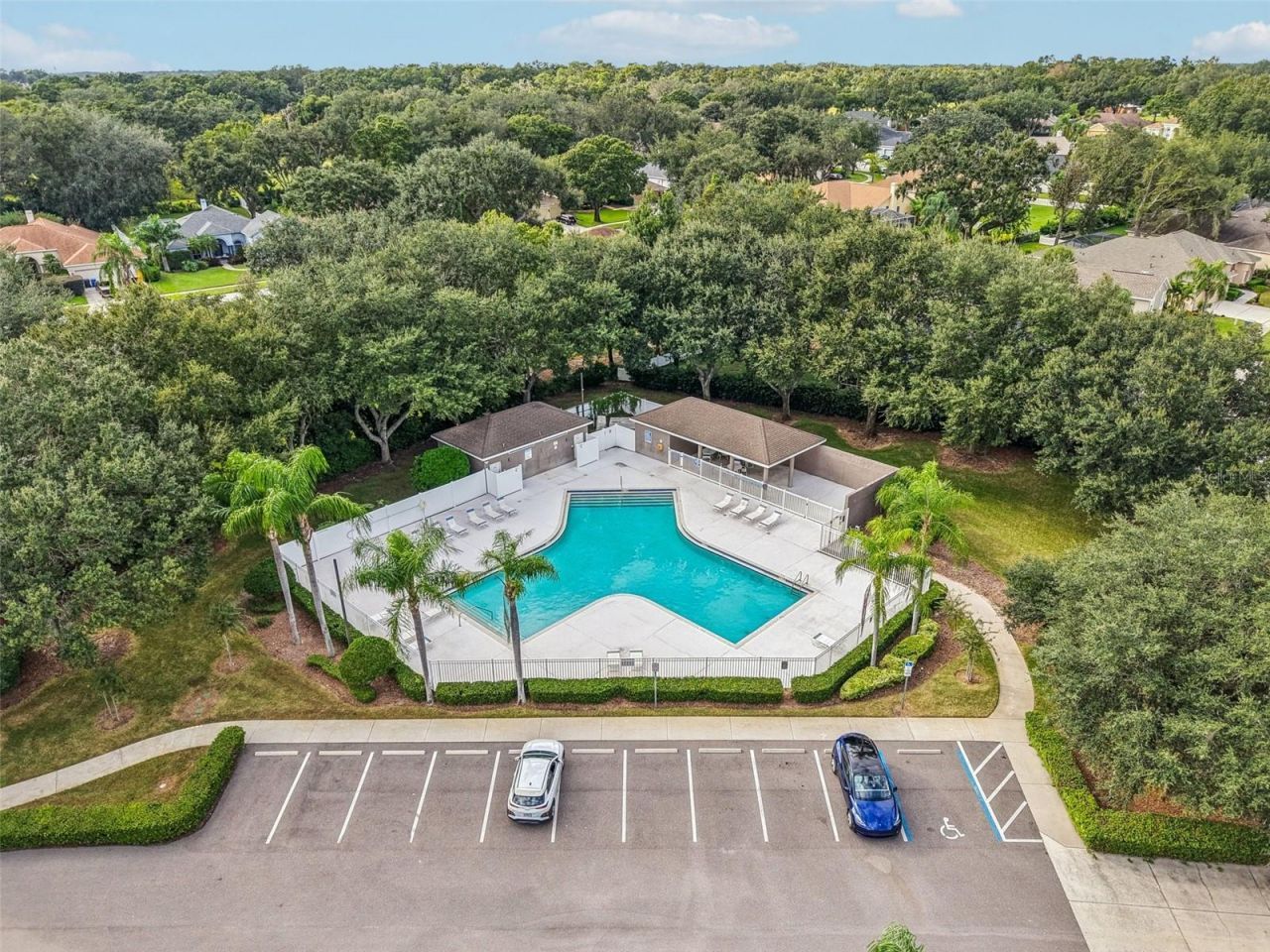 2903 Mossy Timber Trail, Valrico, FL 33596 Photo