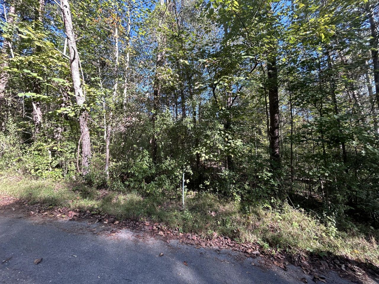 120 Saxony Court, Burnside, KY 42519 Main Photo