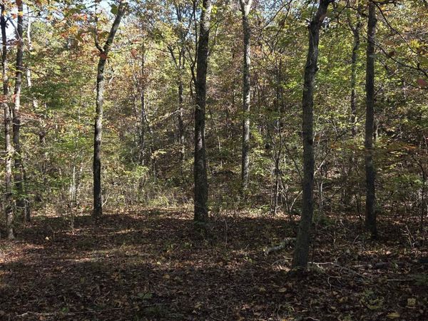 0 Karen Drive, Dennard, AR 72629