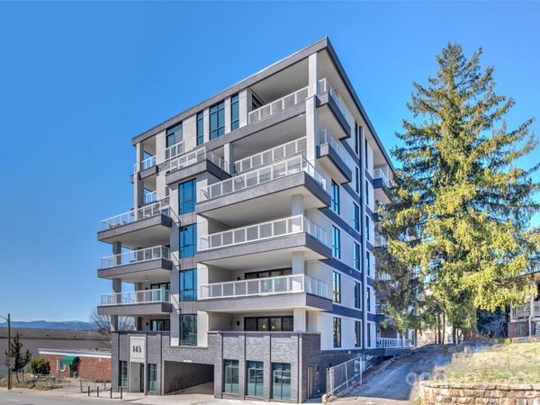 145 Biltmore Avenue, Unit 205, Asheville, NC 28801
