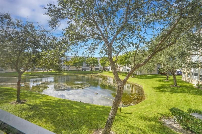 10368 NW 24th Place, Unit 204, Sunrise, FL 33322 Photo