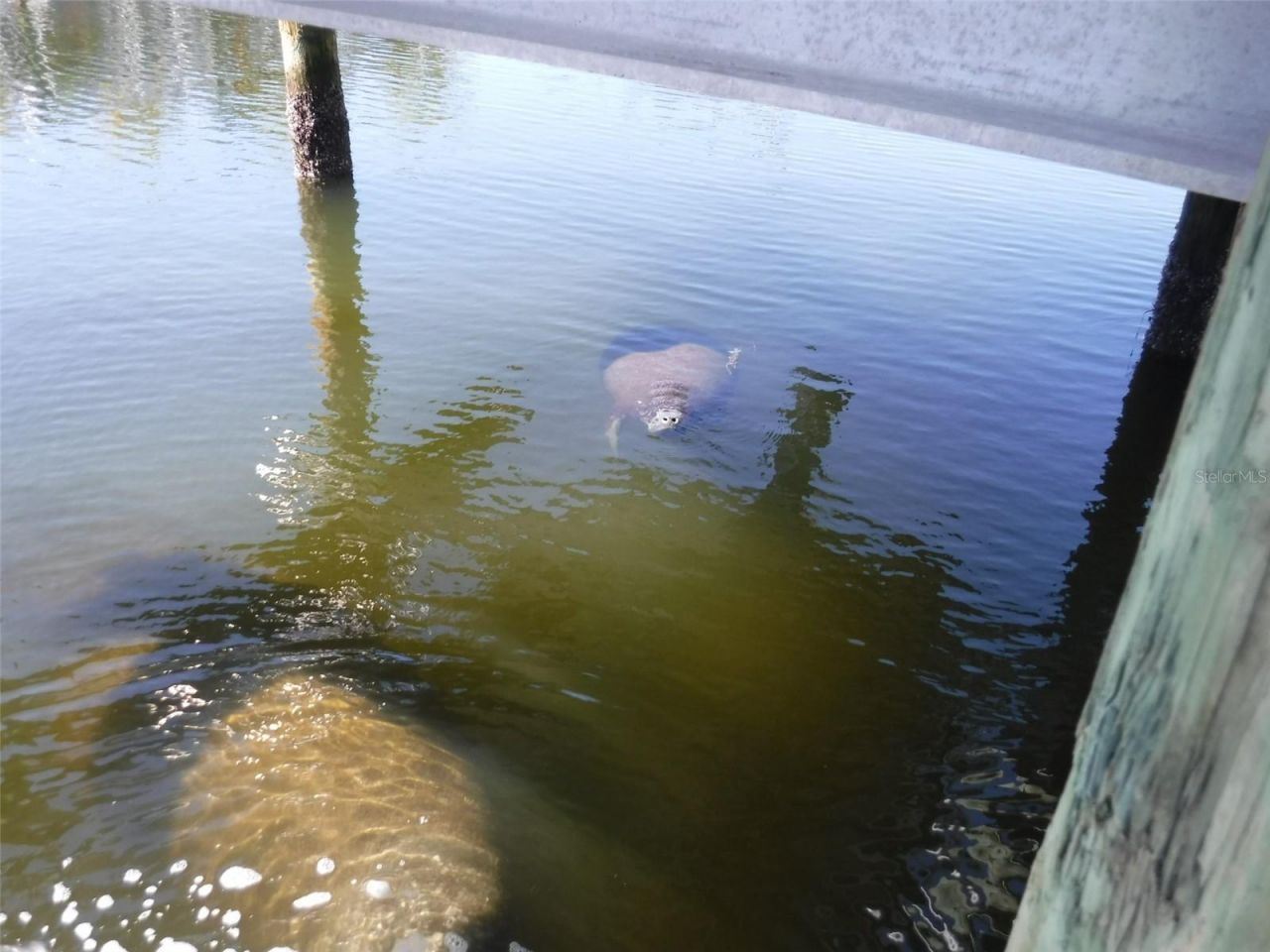 10313 Waterbird Way, Bradenton, FL 34209 Photo