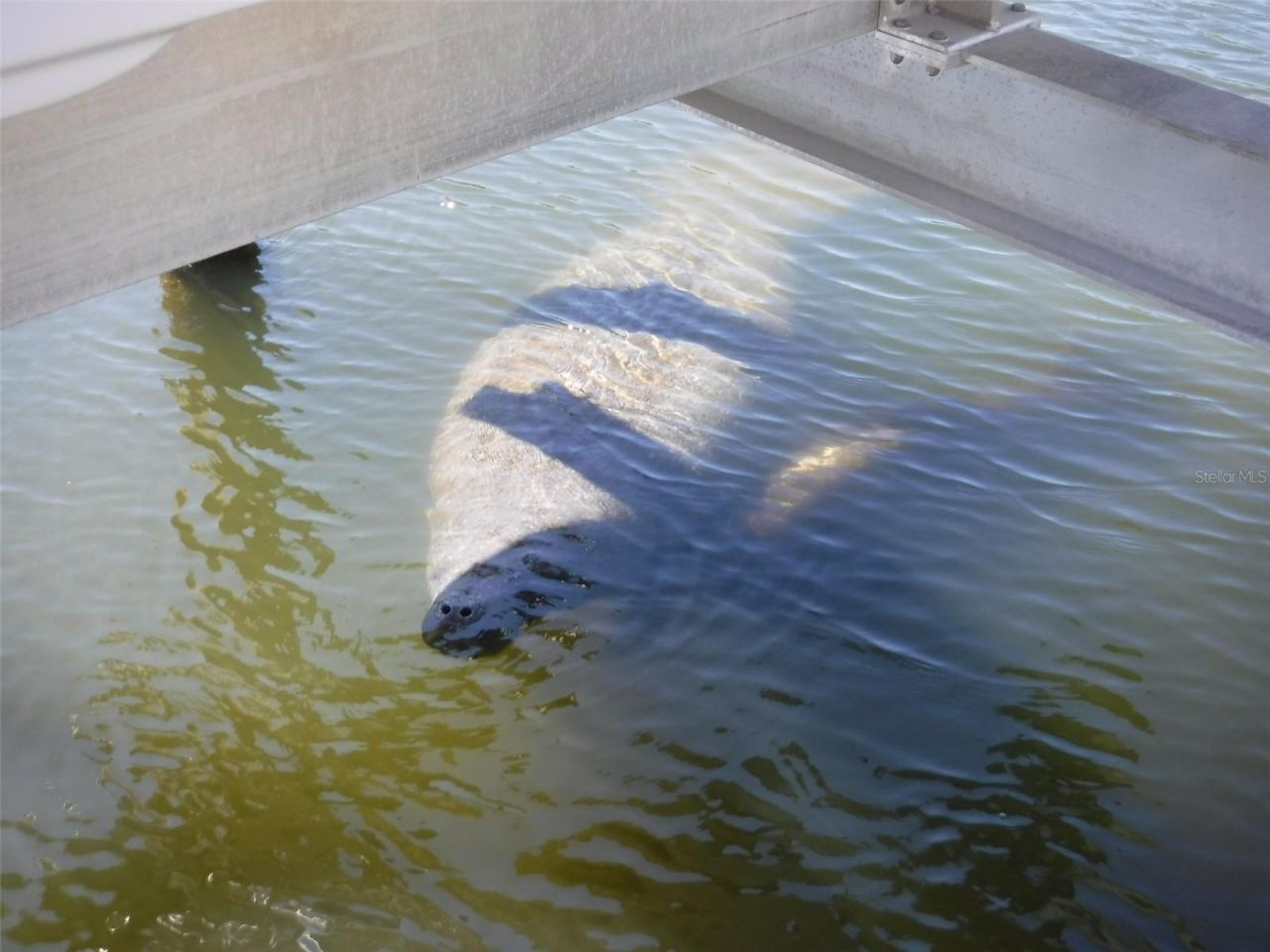 10313 Waterbird Way, Bradenton, FL 34209 Photo