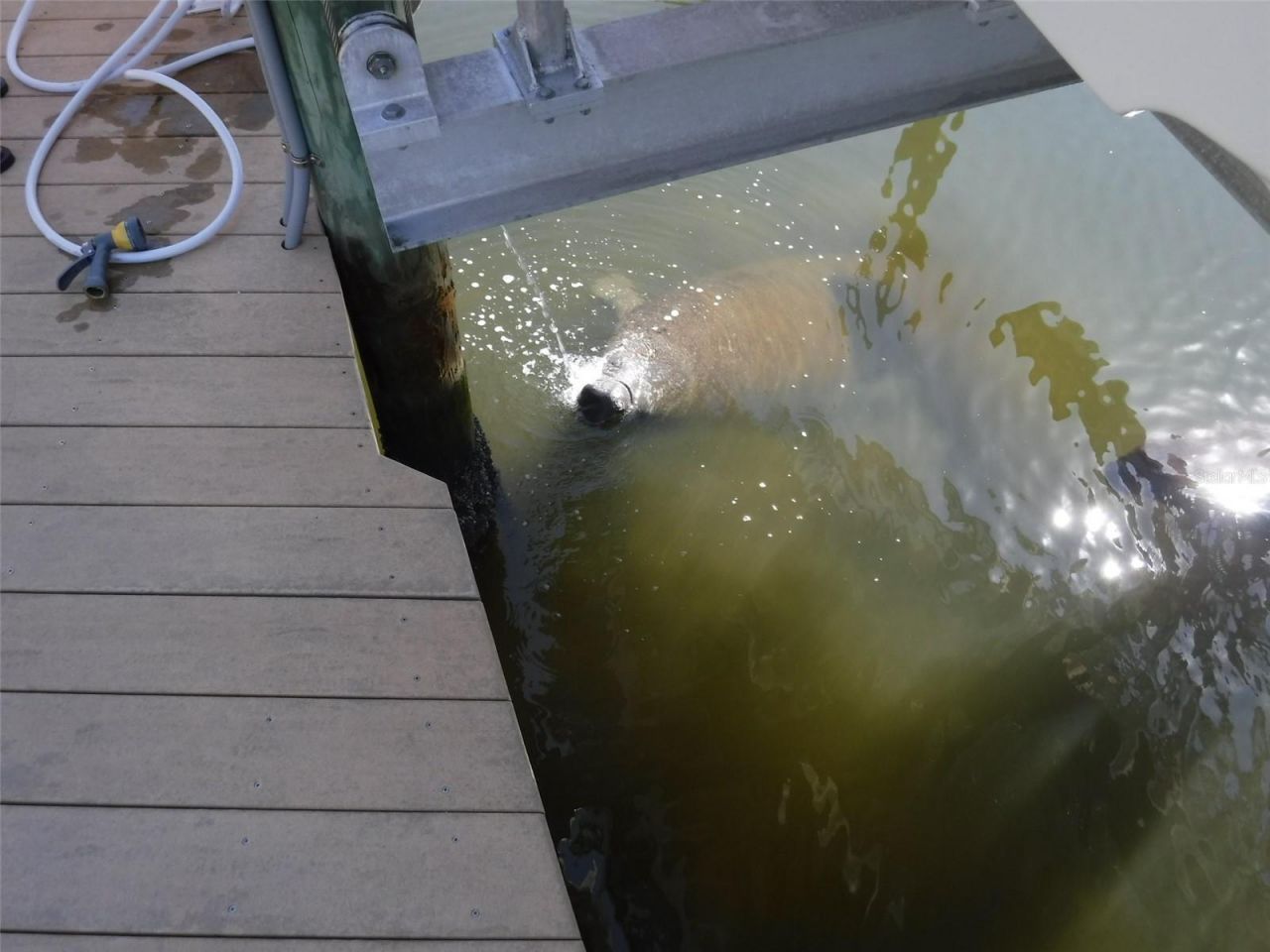 10313 Waterbird Way, Bradenton, FL 34209 Photo