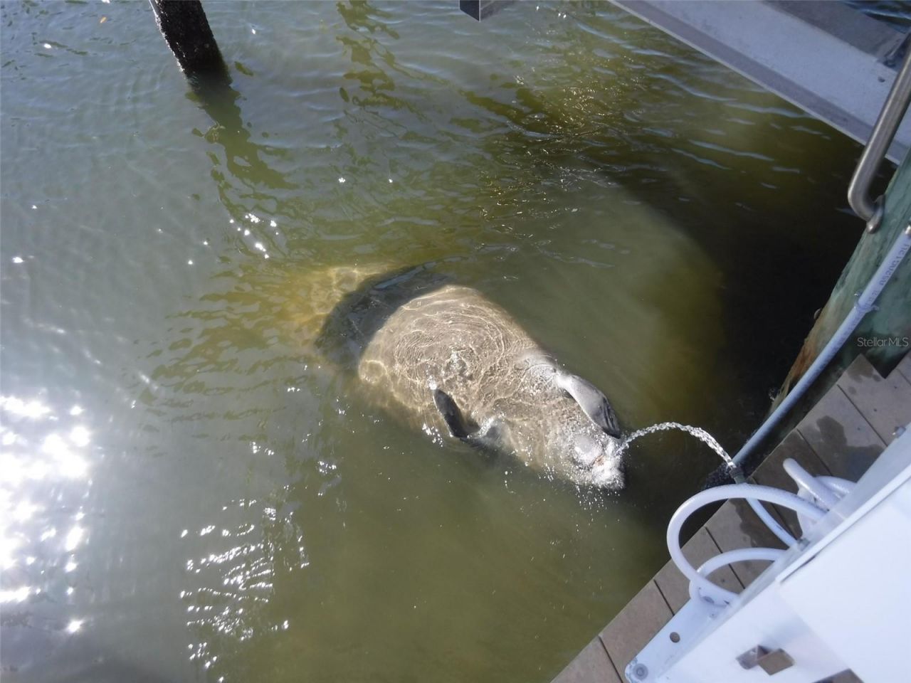 10313 Waterbird Way, Bradenton, FL 34209 Photo