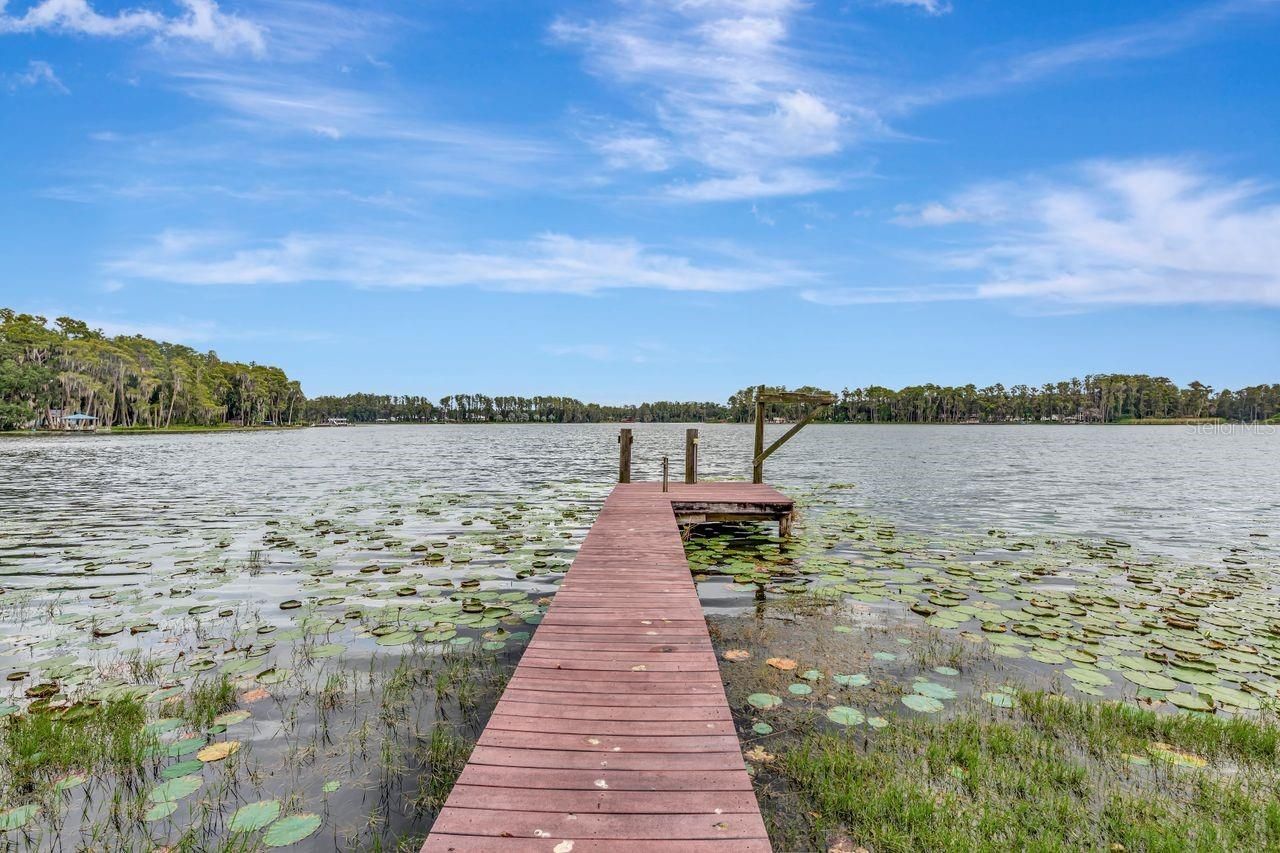 19207 Crooked Lane, Lutz, FL 33548 Photo