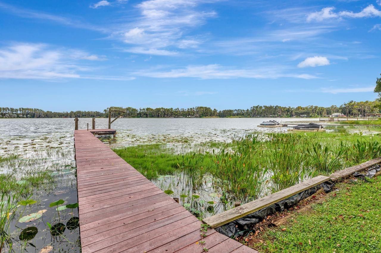 19207 Crooked Lane, Lutz, FL 33548 Photo