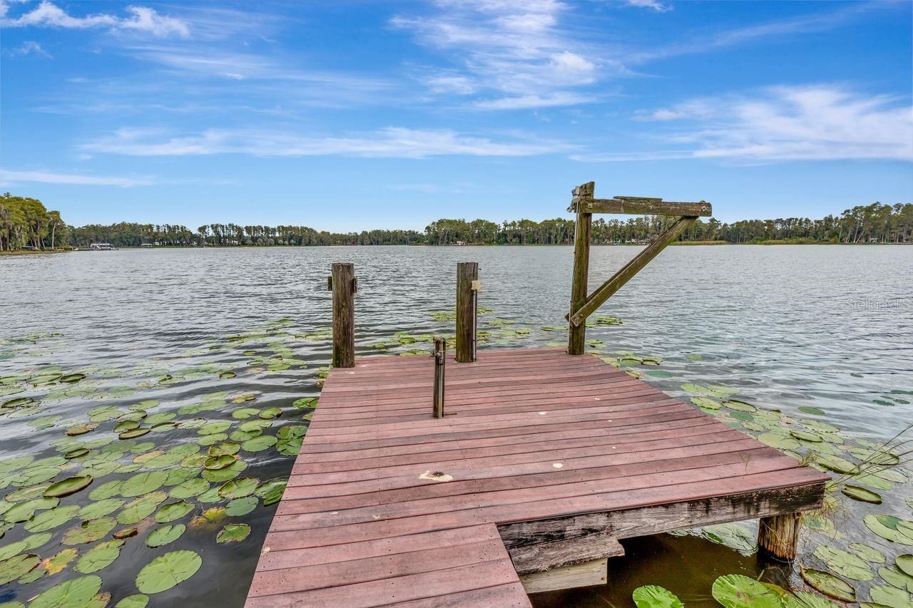 19207 Crooked Lane, Lutz, FL 33548 Photo