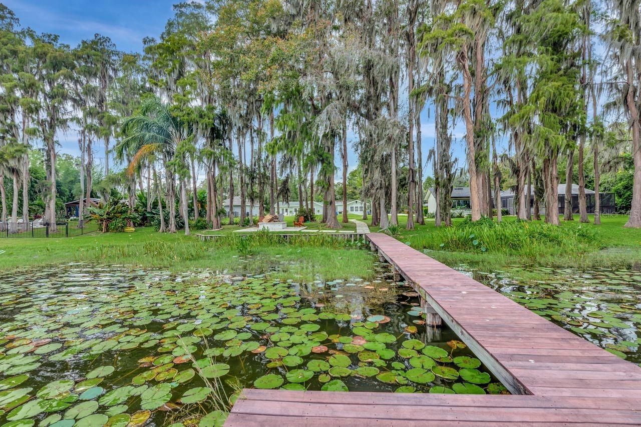 19207 Crooked Lane, Lutz, FL 33548 Photo