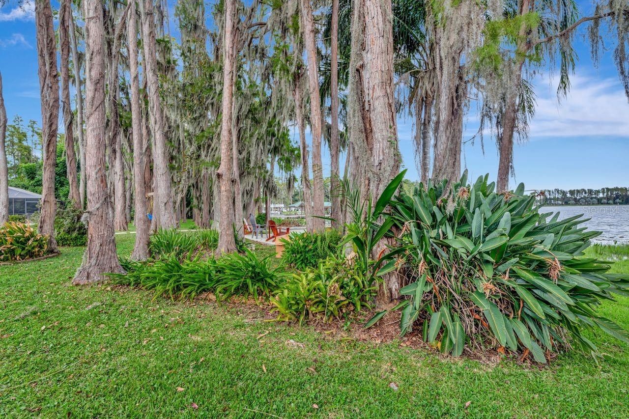 19207 Crooked Lane, Lutz, FL 33548 Photo